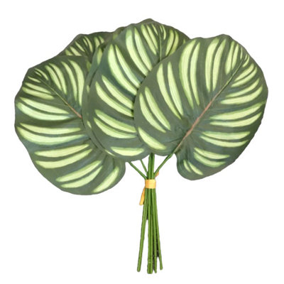 30cm Plant