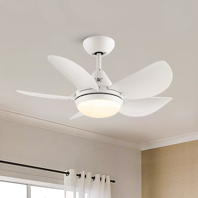 Small-CF 30''  5 - Blade LED Standard Ceiling Fan with Remote Control and Light Kit Included