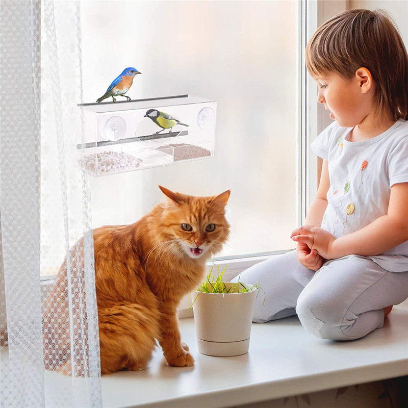 Window Tray Bird Feeder