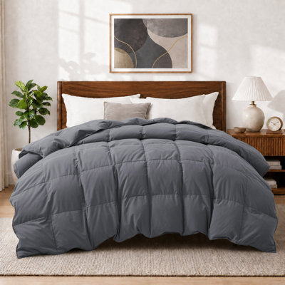 Édredon toutes saisons en plumes de fibre de duvet avec housse en polyester et nylon