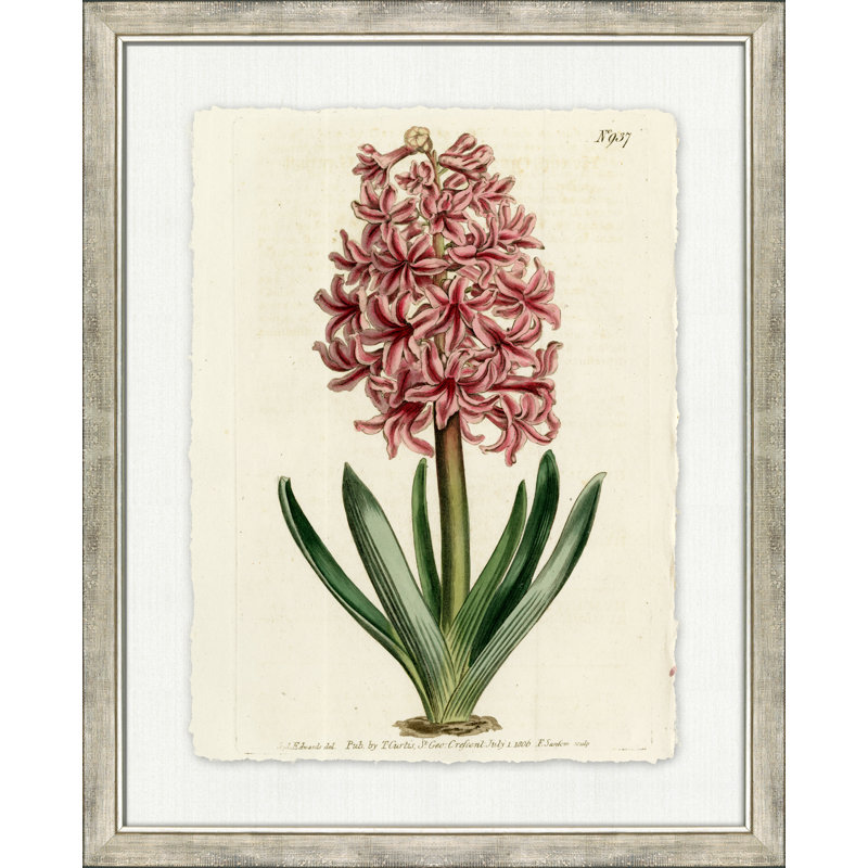 Large Antique Blush Floral V - Peinture encadrée sur papier