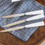 Icone 6 - Piece Stainless Steel Steak Knife Set-107567131