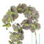 Orchidées Tania disposées dans un vase en verre-1258758432-1258758442