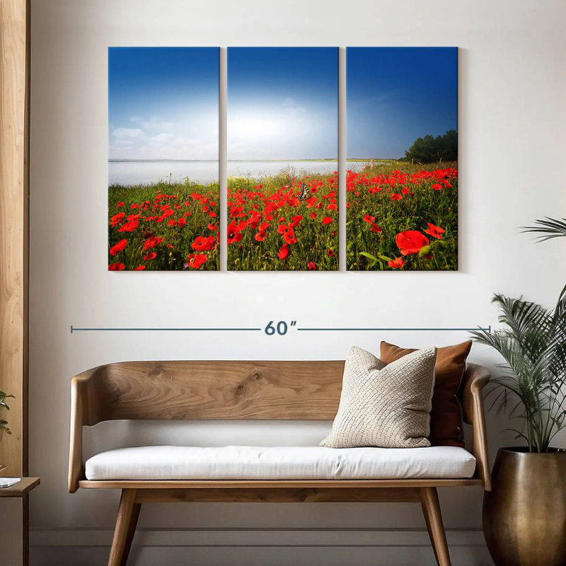 Alvord Lakeside Poppy Field, H 32 po x l 50 po