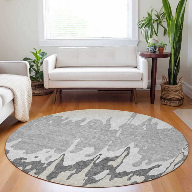  Chayden Area Rug with Non-Slip Backing