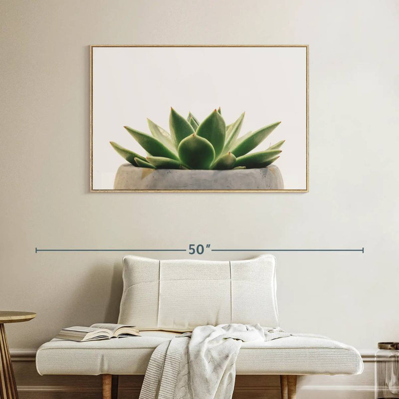 Plante grasse en pierre, Cadre flottant en bois naturel, 40 po x 27 po