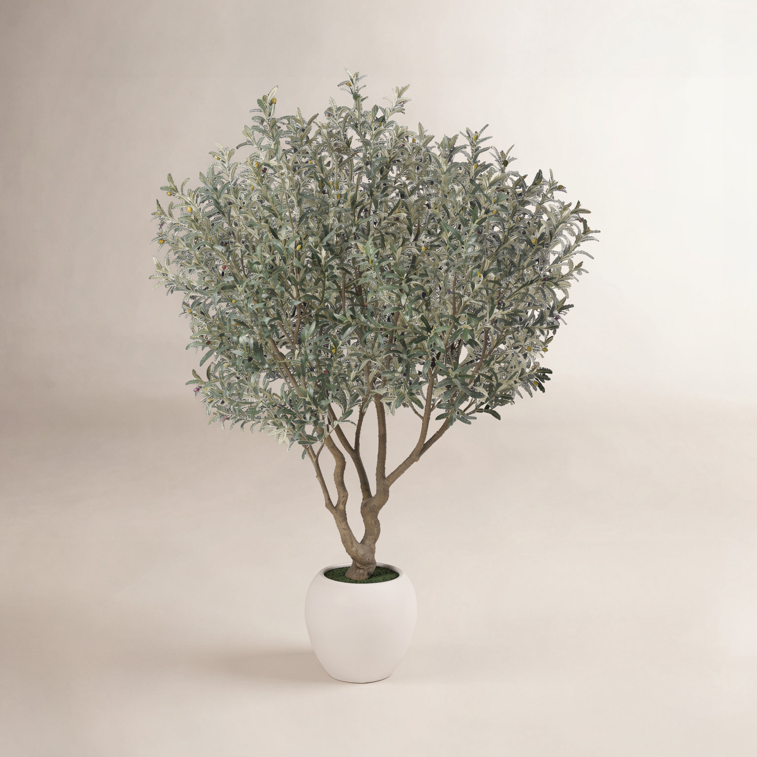Moreell 96" Olive Tree in Pot