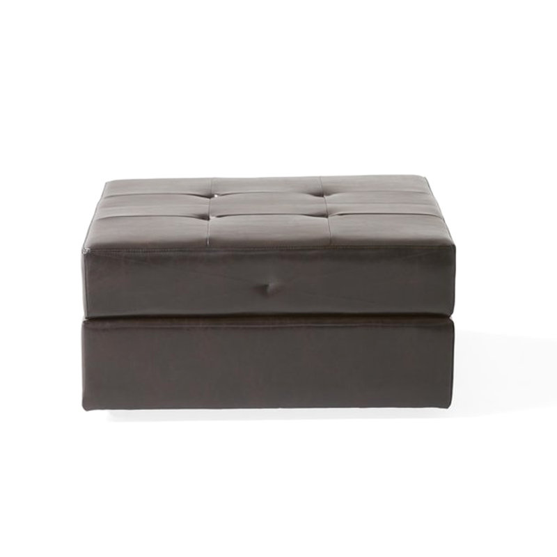 Cuir reconstitué brun de 31 pieds carrés - Unité de rangement pratique et élégante