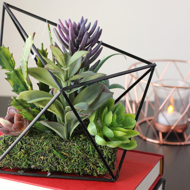 Arrangement de plantes grasses artificielles 6,75 po