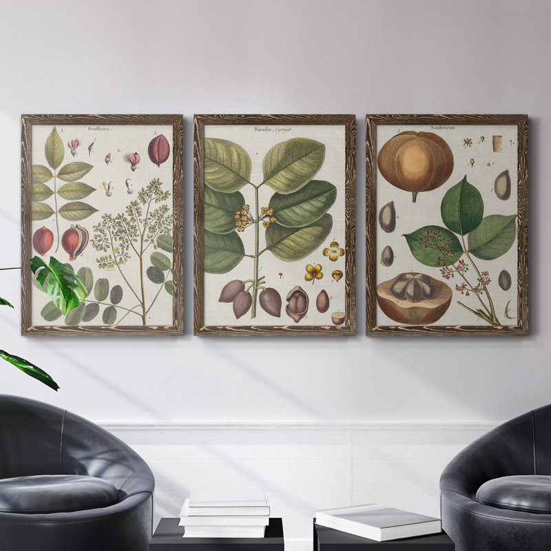 " Arid Layers I " 2 - Pieces Painting Print, Walnut Framed, 31.5" H x 43.5" W x 1" D