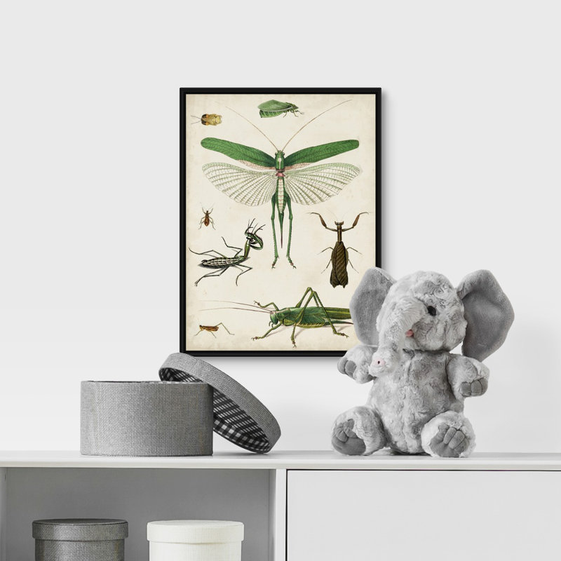 Art sur toile bugs kids, H 36 po x l 12 po x P 1,2 po, Cadre pour toile flottant noir