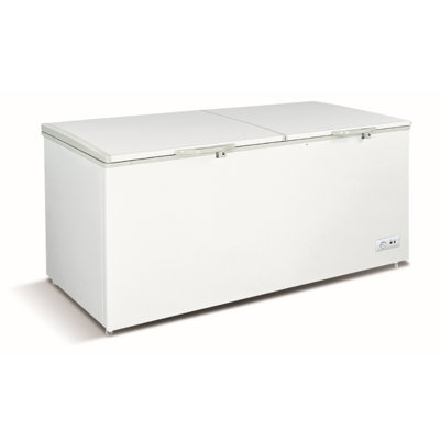 20 pieds cubes Double congélateur de présentoir de coffre avec portes et serrure Saft