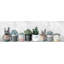 «Wild Succulents In Pots», reproduction sur toile tendue-1040559162