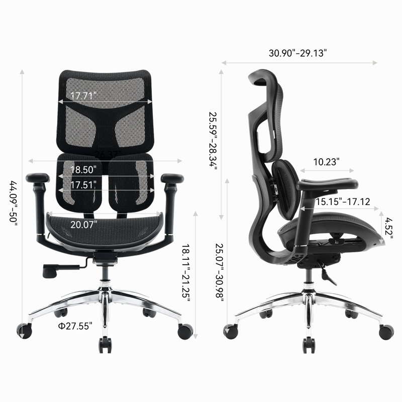 Ergonomic Office Chair, with Dual Dynamic Lumbar Support, 4D Armrests, Black/Silver, Black