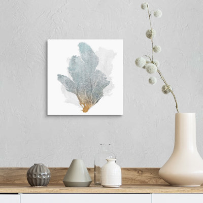 " Delicate Coral II " by Isabelle Z