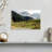Kashmir Valley Sheep-107887572