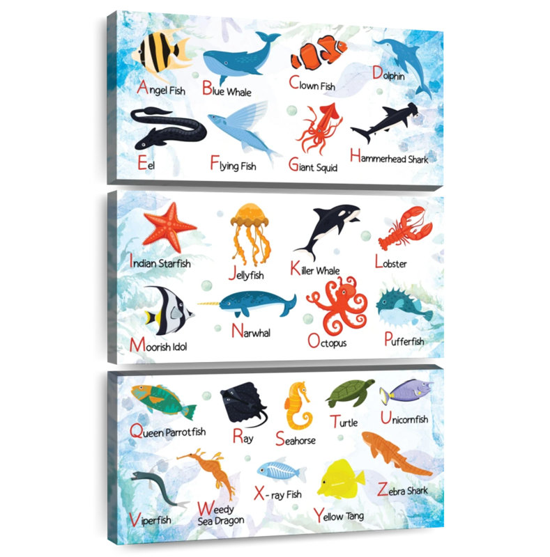 Carte de l'alphabet Ashelle Sea Life, H 38 po x l 24 po