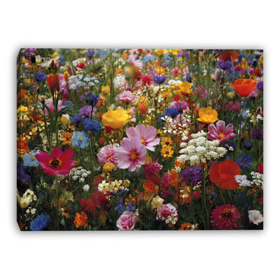 Art mural sur toile tendue Wildflower