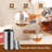 1000ml Glass Teapot with Removable Infuser, Stovetop Safe Tea Kettle
