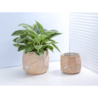 Rock Form Grower Pot By 