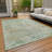 Machine Washable Indoor/Outdoor Claudian ACN1636 Sage Rug-104240220
