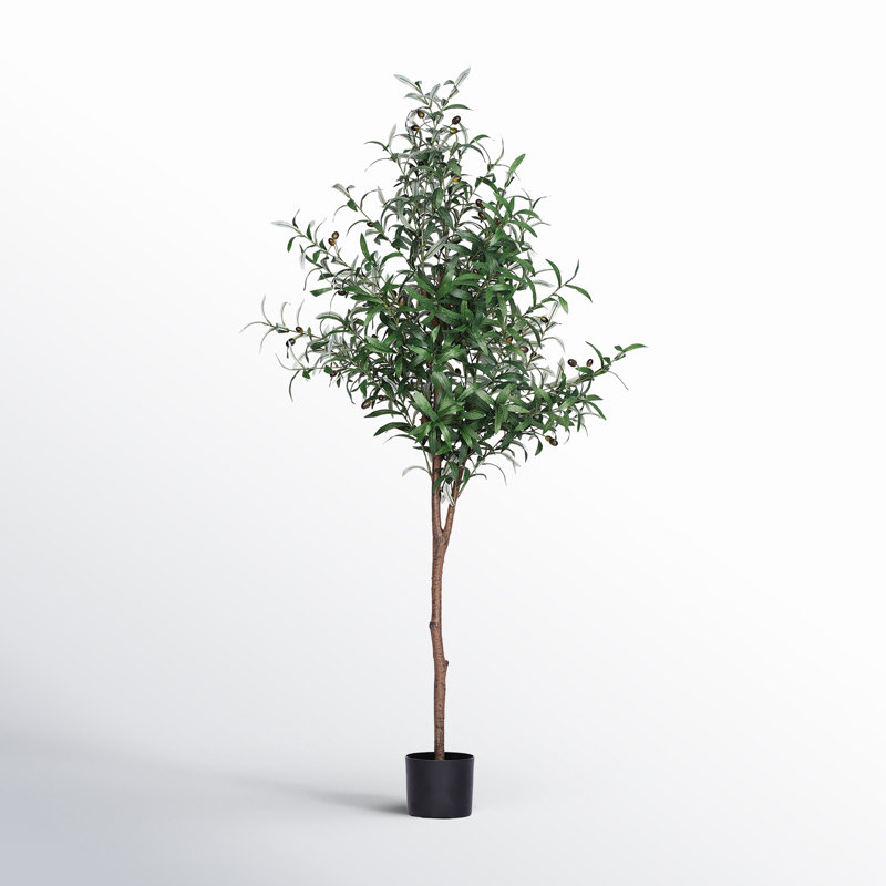 Faux Olive Tree Tree in Pot, 62" H x 23" W x 23" D
