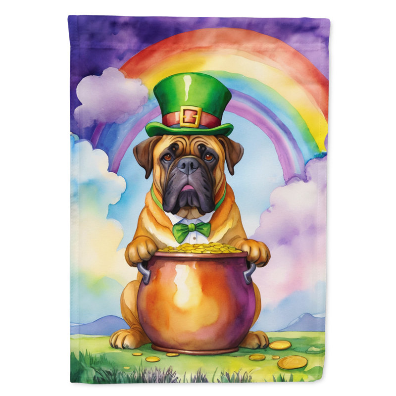 Double Sided 15.5'' H x 11.25'' W Polyester St Patrick's Day Garden Flag