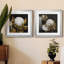 Cotton Balls I - Cadre photo-1492861062-1492861061-1492861060