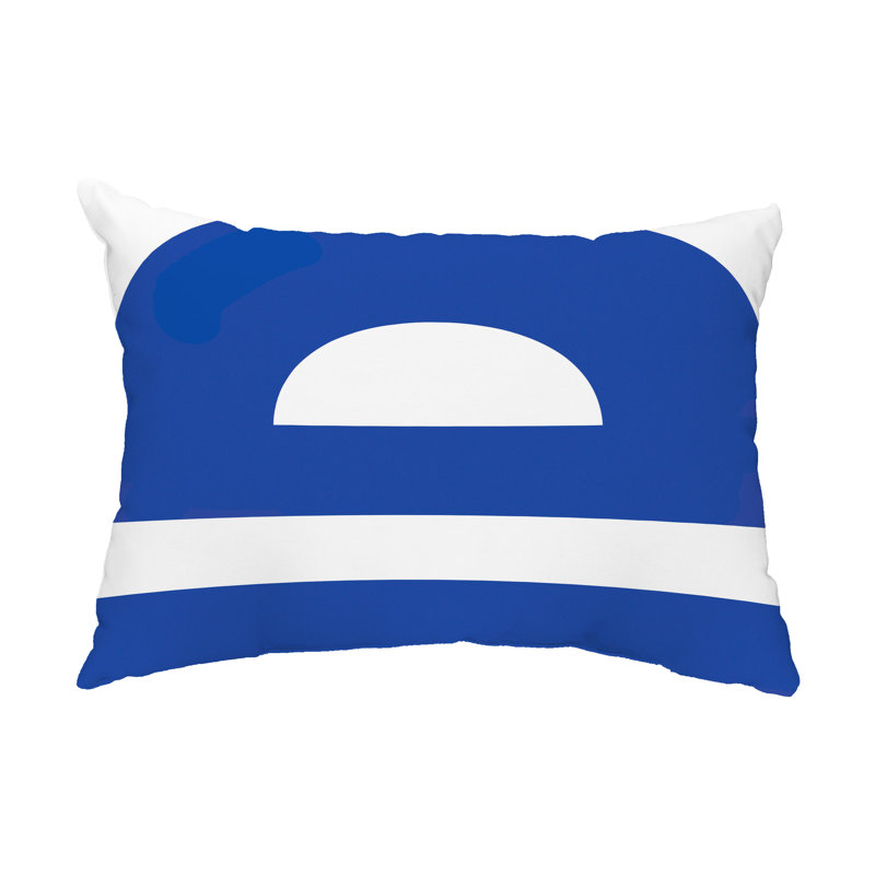 Geometric Outdoor Reversible Throw Pillow, Blue