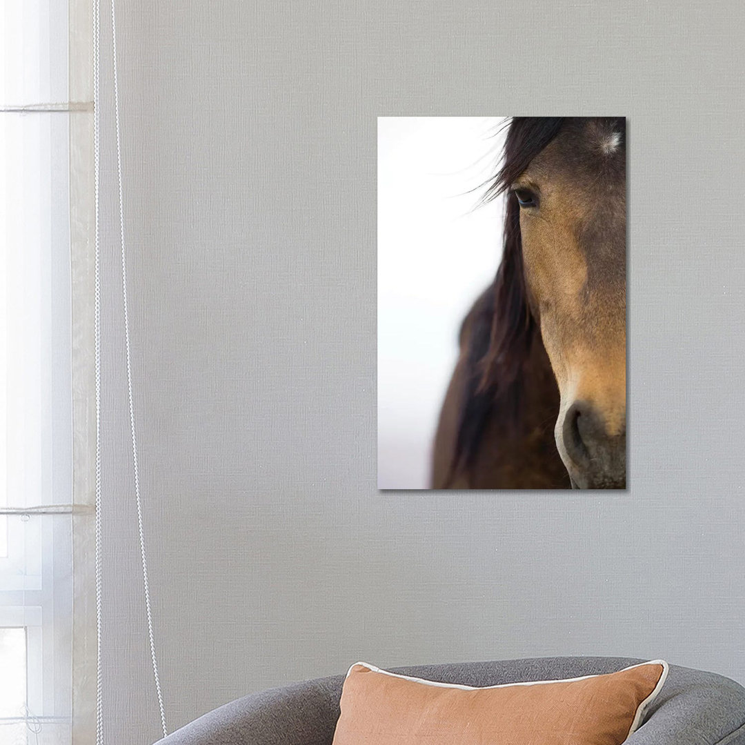 Namib Desert Horse, Namib-Naukluft National Park, Namibia by Cyril Ruoso - Wrapped Canvas Print