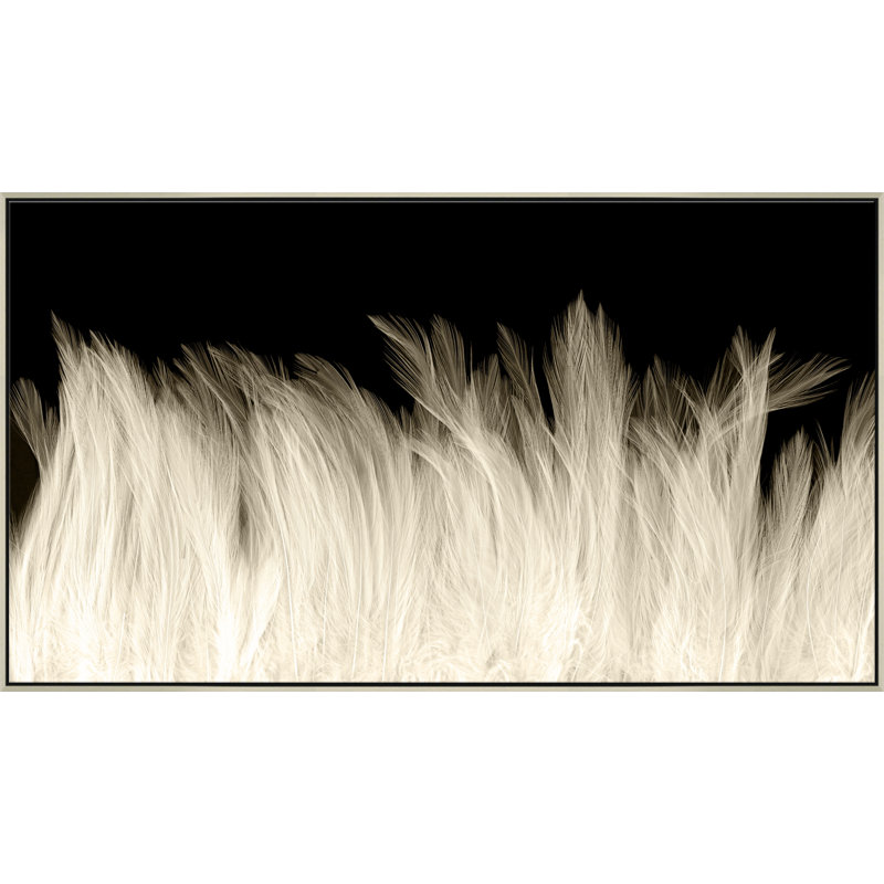 Beach Feathers Giclee On Canvas, 41.5" H x 73.5" W x 2.63" D