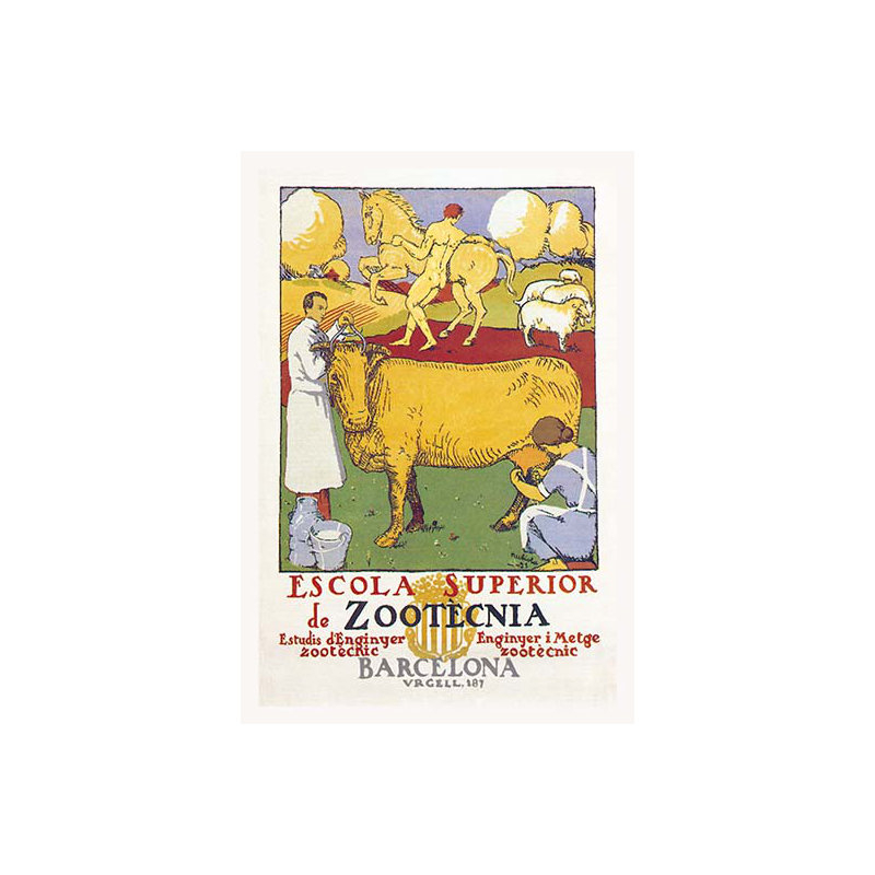 " Escola Superior De Zootecnia ", 42" H x 28" W x 1.5" D