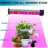 Zhu Grow Light-88957717