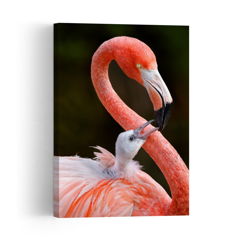 Flamingo Parent And Chick Bird Flamingo Nature Portrait Wall Art Print 1 Piece Wrapped Canvas Wall Art, 152.4cm H x 101.6cm W