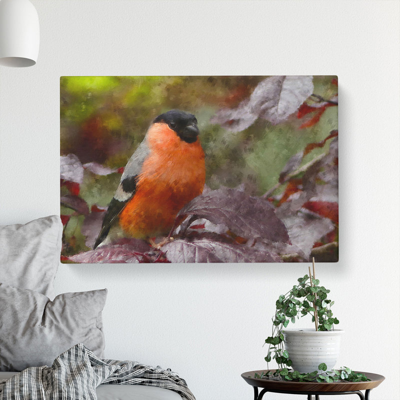 Bullfinch Bird - Wrapped Canvas, 35cm H x 50cm W x 3cm D