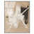 White Frame