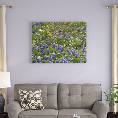 " Sand Bluebonnet Flowers, Hill Country, Texas " by Tim Fitzharris