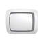 Metal Flat Wall Mirror