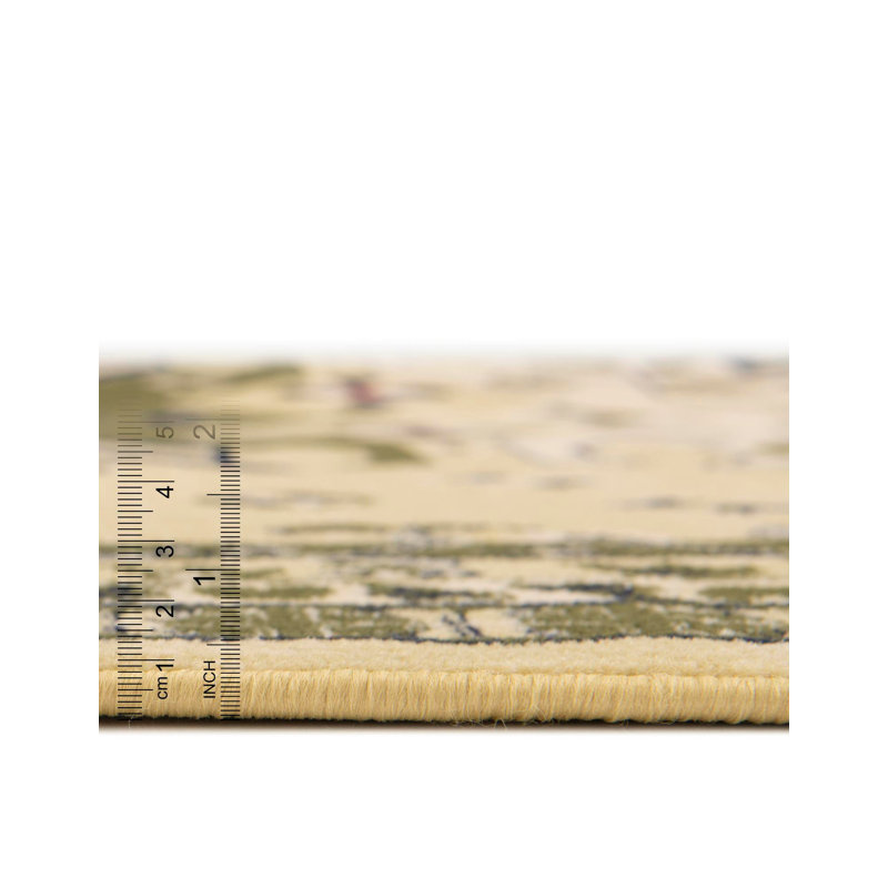 Eesi Oriental Indoor Rug, Rectangle 2'2" x 3'1"