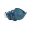 Ariel Shells-62160716