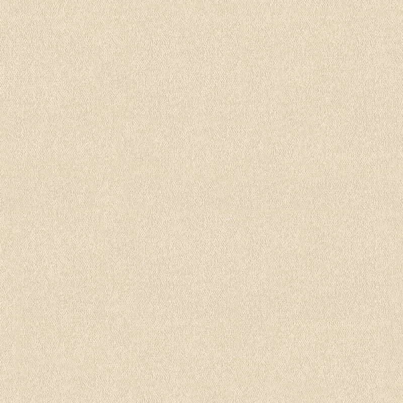 Rouleau de papier peint L 33 pi x l 27 po Boersma, Beige