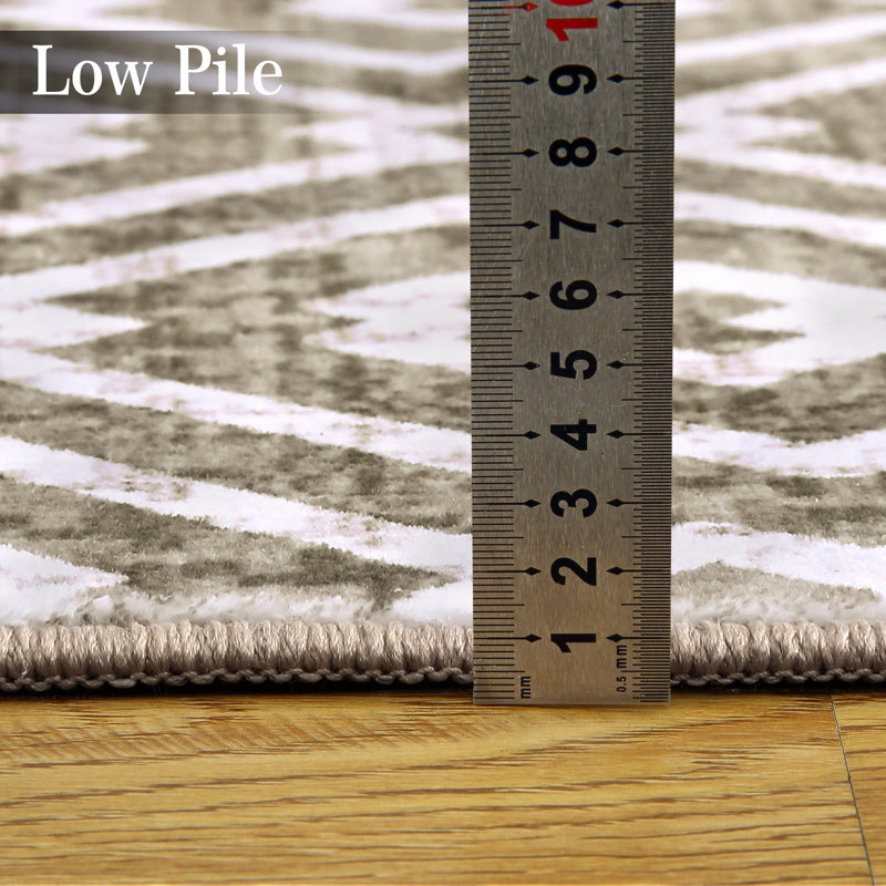 Indoor Area Rug Modern Geometric Printed Carpet For Living Room Bedroom Washable Stain Resistant Carpet Low Pile Non Slip Rug Soft Floor Mat Ultra-Thin Entrance Hallway Carpet Simple Rugs Dorm Office Laundry Farmhouse Decor