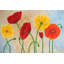 «Poppies», reproduction sur toile tendue-19669183
