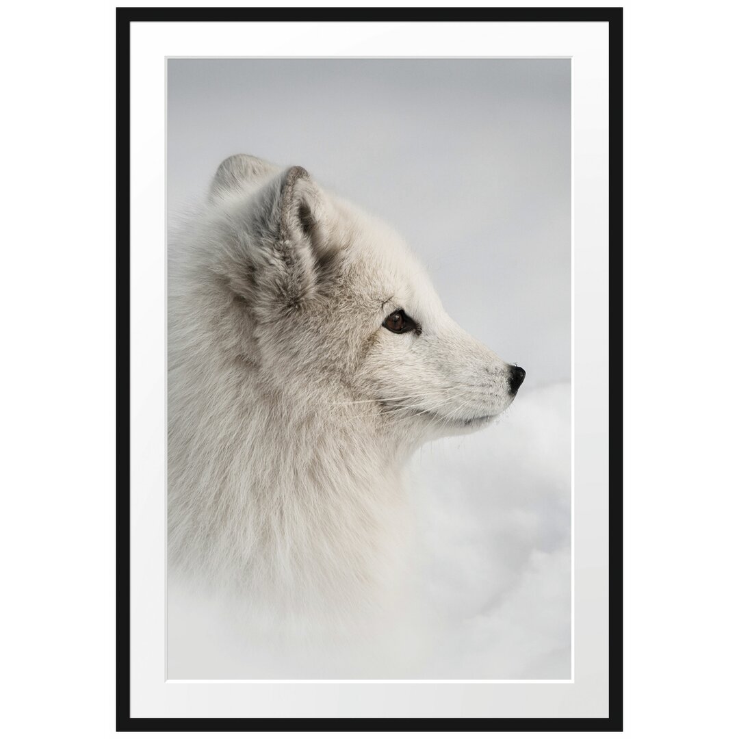 Gerahmtes Poster Anmutiger Polarfuchs im Schnee