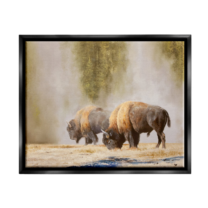 "Foundry Select Bison Wildlife", photographie encadrée sur toile flottante par Mark Kelso, Cadre flottant noir de jais
