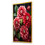 Rouge magnifique Zinnias Blooms II - fleur, art mural-1274580491-1241144281