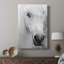 Island Pony I - galerie sur mesure-403632251