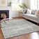 Mahaney Abstract Indoor Rug