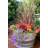 Wood Barrel Planter