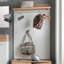 Howard 4 - Hook Wall Mounted Coat Rack-25469456